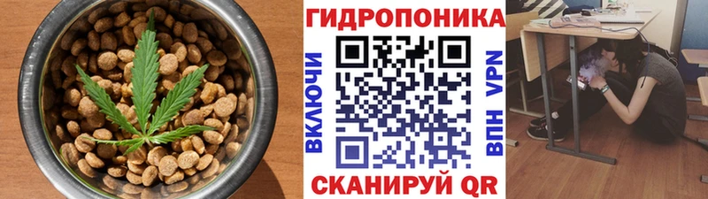Cannafood конопля Балтийск