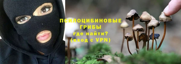 бутират Касимов