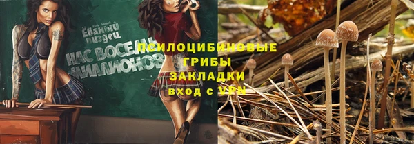 mdma Карталы