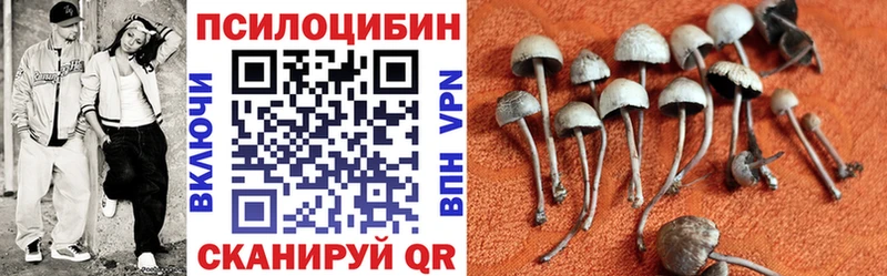 Галлюциногенные грибы MAGIC MUSHROOMS  Купить  Балтийск 
